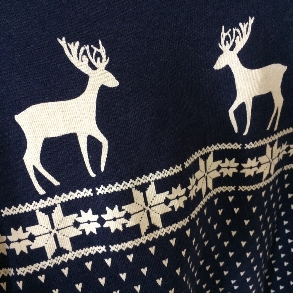 Wildfox pullover sweatshirt - Picture 3 of 8